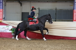 SBM_13659