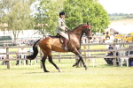 SBM_14882