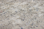 SBM_007482