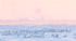 TUNDRA SWANS SERIES #1 - PORT RYERSE