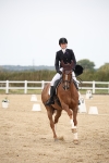 SBM_020228