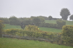 WJ5_7340