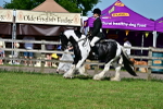 SBM_09322