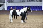 SBM_5372