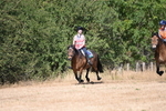 WJ6_8766