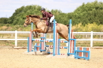 SBM_000354