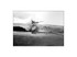 MCNP9516Bw