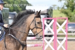 BPP_3575