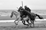 equiscot 8799