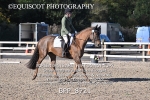 BPP_8721