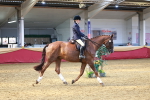 SBM_20213
