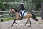 BPP_3145