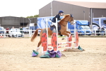 SBM_001698