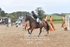 BPP_1243