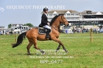 BPP_0477