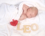Leo 43