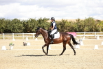 SBM_004203