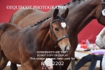 BPP_2202