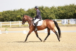 SBM_002533