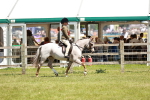 SBM_15779