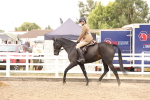 SBM_06294