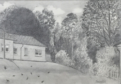 View from 8 Elm Park