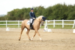 SBM_018509