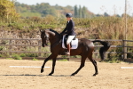 SBM_009966