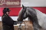 BPP_1295