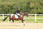 SBM_001522
