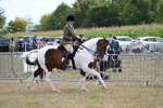 WJ7_5619