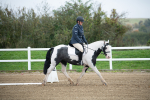 SBM_003483