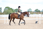 SBM_09184