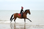 Hayling Island Beach Shoot 22-09-24 portfolio