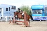 SBM_16318