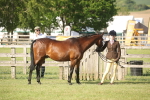 SBM_10471