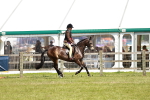 SBM_15827