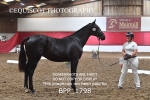 BPP_1798
