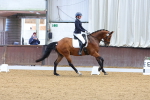 SBM_000255