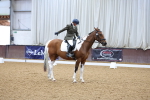 Class 2 - Intro 3 - Championship 9.54-10.50 portfolio