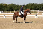SBM_005811