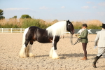 SBM_08576