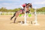 SBM_002409