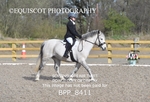 BPP_8411
