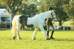 SBM_57287