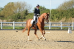 SBM_002879
