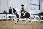 SBM_6589