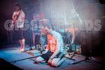 Pigsx7-1