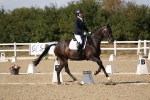 SBM_022601
