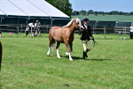 SBM_08057